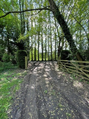 Environmental Surveys